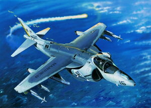 AV-8B iCgA^bN nA[II/ Trumpeter 1/32 ͌^ vfLbg
