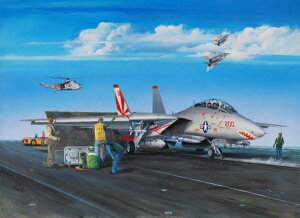 F-14A gLbg/ Trumpeter 1/32 ͌^ vfLbg