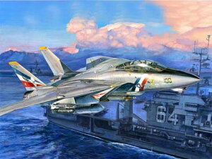 F-14D X[p[gLbg/ Trumpeter 1/32 ͌^ vfLbg