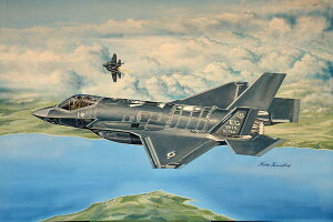 F-35A CgjOII/ Trumpeter 1/32 ͌^ vfLbg