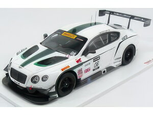 BENTLEY CONTINENTAL V8 GT3 TEAM DYSON RACING N 8 3rd SONOMA GP GRAND PRIX 2014 B.LEITZINGER WHITE/TRUESCALE 1/18~jJ[