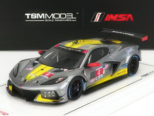 CHEVROLET C8.R 6.2L V8 TEAM CORVETTE RACING N 4 2nd GTLM CLASS 24h DAYTONA 2021 T.MILNER A.SIMS N.TANDY YELLOW GREY/TRUESCALE 1/43~jJ[