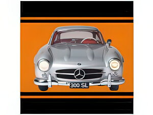 MERCEDES BENZ SLCLASS 300SL COUPE (W198) 1954 SILVER/IXO 1/8�~�j�J�[