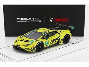 LAMBORGHINI HURACAN GT3 EVO2 TEAM IRON LYNX N 19 IMSA �f�C�g�i24���� 2023 C�V�A�{�j R�C�l�C�`�F�� F�y���� R�W�����}���A �C�G���[/ TrueScale 1/43 �~�j�J�[