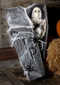 69cm ~C fR[V nEB AX`[  N K[[t RIP 69cm x 23cm x 10cm