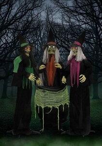 190cm WfB WfB W[ ̏W Aj[V fR[V 190cm   P4dr3{gp nEB 