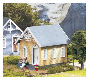 PIKO62239BBA_X/GQ[W S͌^ O