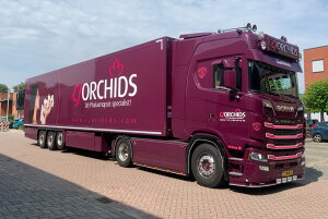 y\z2026N\ CJ ORCHIDS SCANIA S nCC CS20H 4X2 Ⓚg[[ 3 g[[ / WSI 1/50 ݋@B͌^ Hԗ