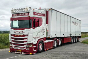�y�\��z2026�N�����\�� Scania�X�J�j�A S HIGHLINE CS20H 6X2 TAG AXLE ���[�t�@�[�g���[���[ 3�� Maliepaard Transport / WSI 1/50 ���݋@�B �͌^
