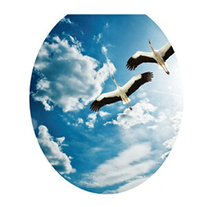 EH[XebJ[ gC gCg[jO gCp  EFJ tHgu[X gbNA[g ǎ  C  A  L  O[ JtF  r[` 킢 k ͂