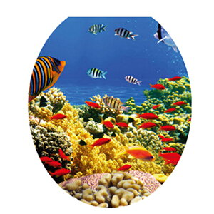 EH[XebJ[ gC gCg[jO gCp  EFJ tHgu[X gbNA[g ǎ  C  A  L  O[ JtF  r[` 킢 k ͂