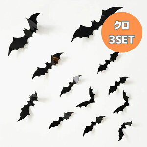 nEB  EH[XebJ[nEB RE   Halloween Cxg  Ki rO Q  JtF  gC hA Lb` ǃfRV[  k  