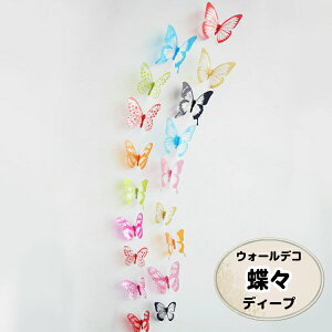 X o^tC 3D  EH[XebJ[  gC hA V JtF  G t  Cxg tHgu[X  ͂  rO Ki Lb` Q q 