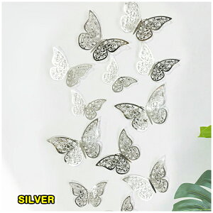 EH[XebJ[   X tHgu[X  JtF  gC hA S[h Vo[ uY tH[ i`  rO Lb` Q q ͗lւ L