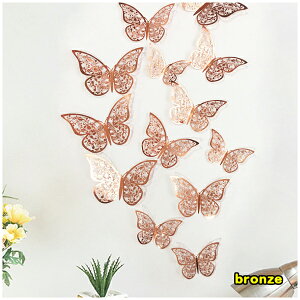 EH[XebJ[   X tHgu[X  JtF  gC hA S[h Vo[ uY tH[ i`  rO Lb` Q q ͗lւ L