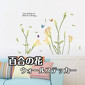 EH[XebJ[   k  A gC hA O[ S JtF  i a  rO Q Wall sticker Cxg i` X tHgu[X ͂ EH[A