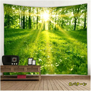 ^yXg[  A O[ JtF  EH[fR[V   AEghAfR e[uNX ʏ EH[A[g tHgu[X Mtg v[g  t i`