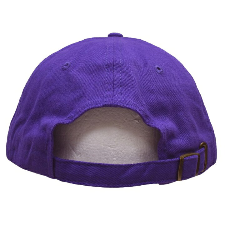 楽天市場】DINOSAUR Jr. ダイナソージュニア Lime Logo ストラップ 