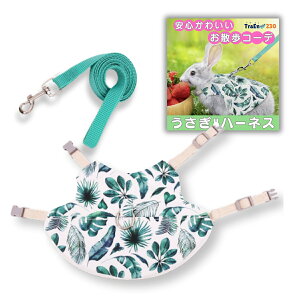  n[lX n[lX [h ETMn[lX tFbg ybg  Lpn[lX pi Ȃn[lX p xXg^ n[lXZbg [ht 킢 