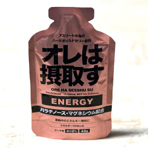 ylR|X220zI͐ێ悷@GlM[ @s[`1o