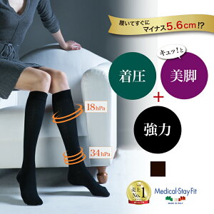 y250˔j \bNXzfBJXeCtBbg RbgnC\bNX 140fj[ ubN y͒ fB[X C ㋉Ҍ ΍ze\bNX ×p@ ׂ݂ 