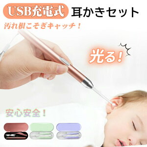耳かき ライト付き 在庫処分 送料無料 みみかき 耳掃除 ピンセット 光る耳かき 子供 耳掻き 赤ちゃん usb充電 光る耳かき usb ピンセット大人 新年祝い 贈り物 正月 プレゼント