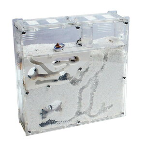 ALbg  ঒ގP[X Ȃώ@Lbg apP[X AZbg Zbg ώ@ ċx wKp 