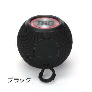 Bluetooth Xs[J[ CX  u[gD[X  |[^u  ^ h ho