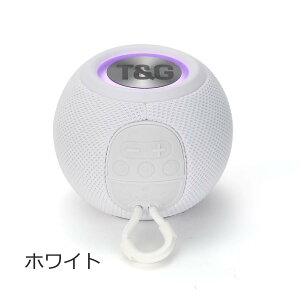 Bluetooth Xs[J[ CX  u[gD[X  |[^u  ^ h ho