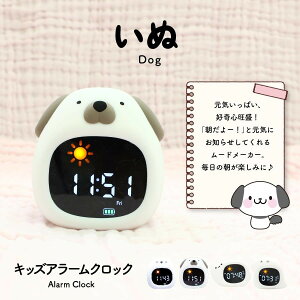 ڊo܂v q ̎q j̎q LN^[ Xk[Y 剹 v VR 킢 LbY A[NbN qp Cgt