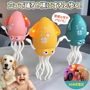 ySNSb肭˂˃CJ_T[z CJ  CJ ߋ Q ^R  nCnC USB[d mߋ  S݌v