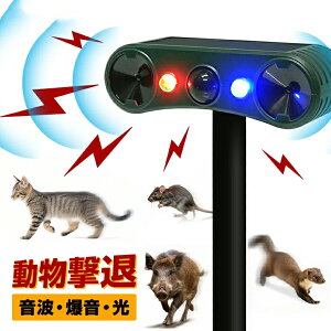 ފ h Qb A[ \[[ lZT[ ԊO g  tbV L悯 Nh~  剹 F   C^`  ^kL   ؉ ߍ ǖ tFX 쏜Ob