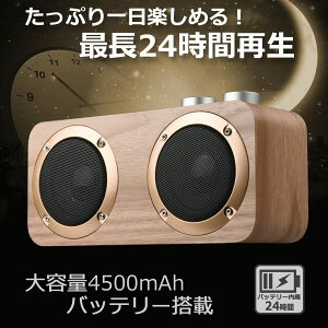 Bluetooth u[gD[X Xs[J[ ^ RpNg X}z ipad CX  ڑ }CNSD USB[ y Đ L AUX [q XeI
