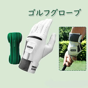 StK XCXh~ golf @\ StO[u Y SV^ p Œ p ~ _炩 ϋv StKp K Stpi S StKp t