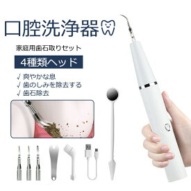 【当日発送】口腔洗浄器 4種類ヘッド LEDライト付き 歯石取り 歯石 超音波 電動歯ブラシ 口腔洗浄機 スケーラー ヤニ取り クリーナー歯間ブラシ 口腔ケア 電動 ブラシ 歯垢 歯肉 歯用ツール 振動 歯周病予防 水洗い 防水