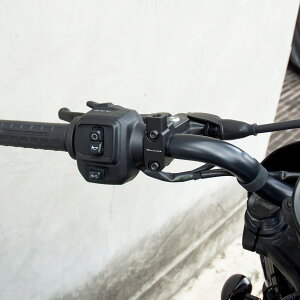 TRAMP CYCLE gvTCN ~[uPbg@ Nv^Cv EZbg@~[Xe[@ RH1250S X|[cX^[Sp Sporster S@/ RH975 iCgX^[p Nightster@/ u{@RCS Corsa Corta}X