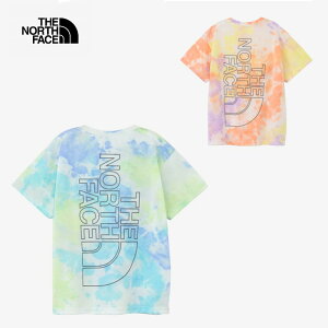 y[֔zTHE NORTH FACE S/S Novelty Big Root Tee NTJ32579 V[gX[umxeBrbO[geB[iLbYj UEm[XEtFCX