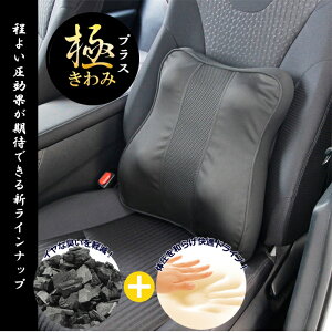 EGXgT|[g ɃV[Y ᔽ |YL J[pi  ANZT[ 