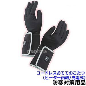 yzh΍pi R[hXĂĂ̂i[djiWT-817j q[^[ y/ϐ//n/ƒz