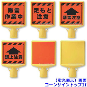 Ɨpi R[TCgbvIIiu\jʁyh΍pi//Ⴉ/ϐ/n/ƒz