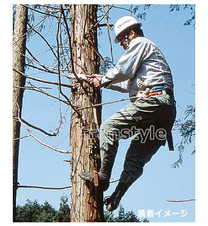 楽天市場】藤井電工 安全帯 木登り器 FR-100 林業用安全器具 ツヨロン  