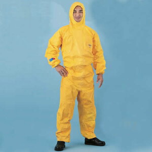 wh앞 f|^CP2000 yA[AX ی앞 Ǒ΍ ECXoA ĝ   JISK ˔\ ho z