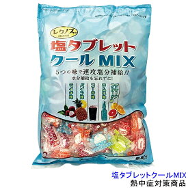 熱中症対策 塩タブレットクール5味MIX 500g (HO-331) 【塩分水分補給 暑さ対策 作業】