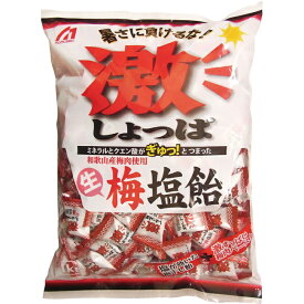 【熱中飴 熱中症対策】激しょっぱ生梅塩飴 1kg 和歌山産梅肉使用（HO-163）熱中飴/熱中症対策用