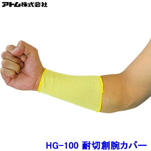 Ag rJo[ HG-100 (10o) Pu[ ϐؑn R ATOM hn H  H nCp[ObvX