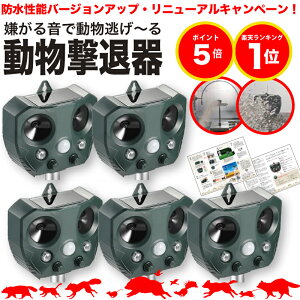 yԌ|Cg5{zyh\啝UPzyS̕ԕiۏؕtzL悯 g 5Zbg  \[[ 悯 ZT[ ˂悯 Ƃ悯 ObY L L ɓ ӂ A 