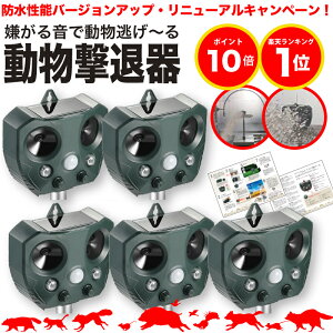 yԌ|Cg10{zyh\啝UPzyS̕ԕiۏؕtzL悯 g 5Zbg  \[[ 悯 ZT[ ˂悯 Ƃ悯 ObY L L ɓ ӂ A 