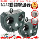 【防水性能大幅UP】【安心の返品保証付き】猫よけ 超音波 2個セット コウモリ 駆除 強力 ソーラー 鳥よけ センサー ね…