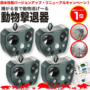 yh\啝UPzyS̕ԕiۏؕtzL悯 g 4Zbg  \[[ 悯 ZT[ ˂悯 Ƃ悯 ObY L L ɓ ӂ A čIgŗD