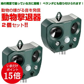 楽天市場 猫よけ 強力の通販